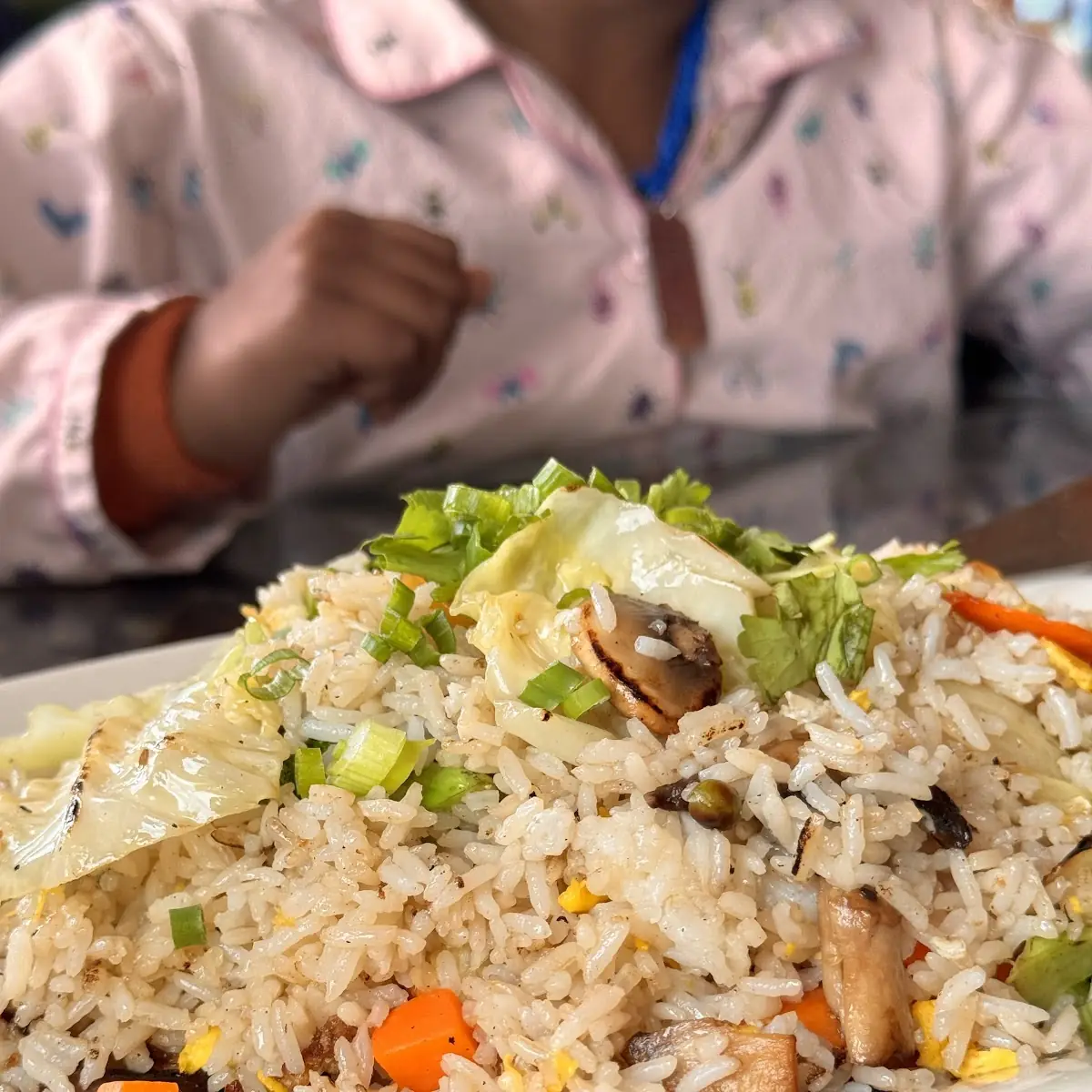Combination Fried Rice