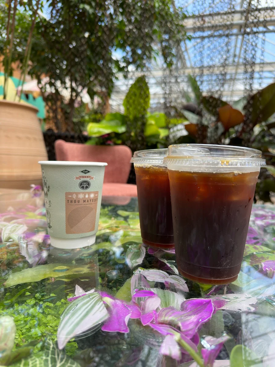 Iced Cold Brew