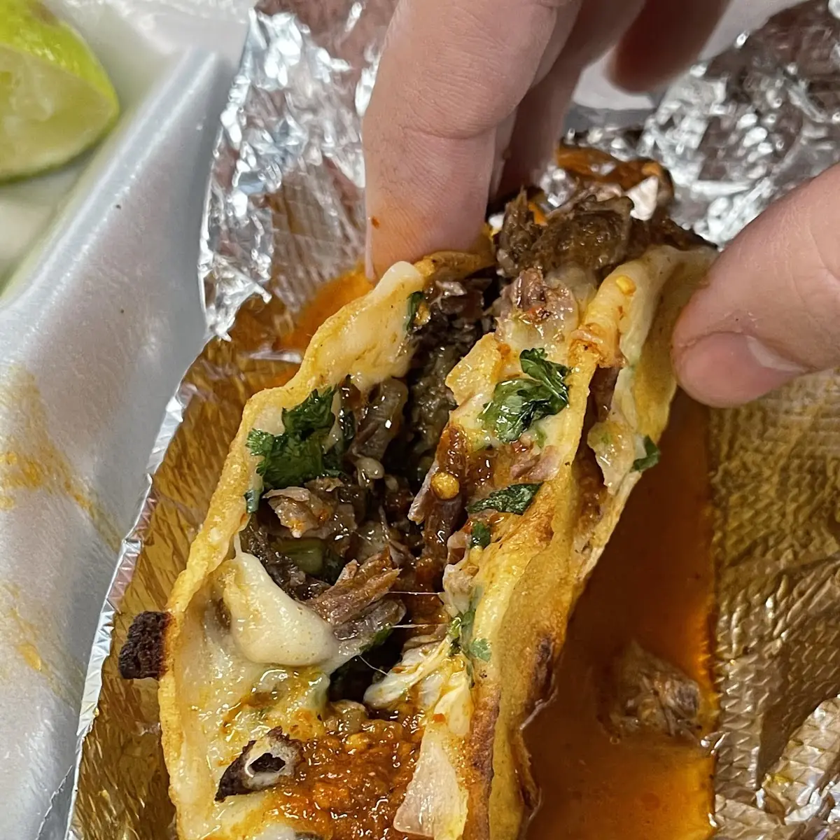 Birria Tacos