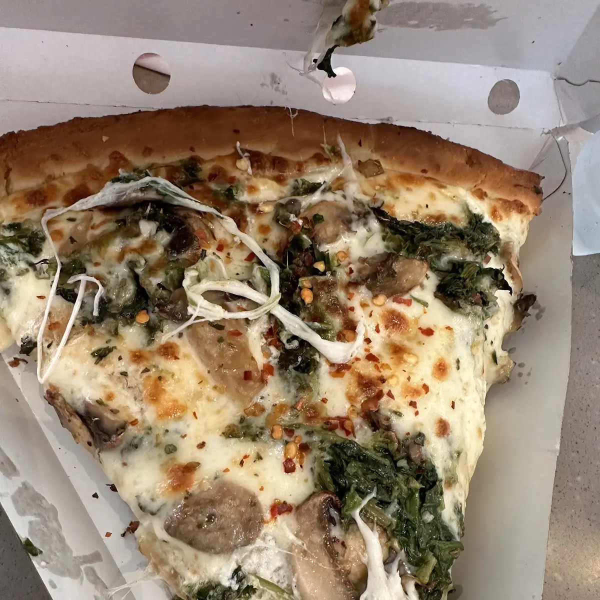 Spinach Ricotta Cheese Pizza