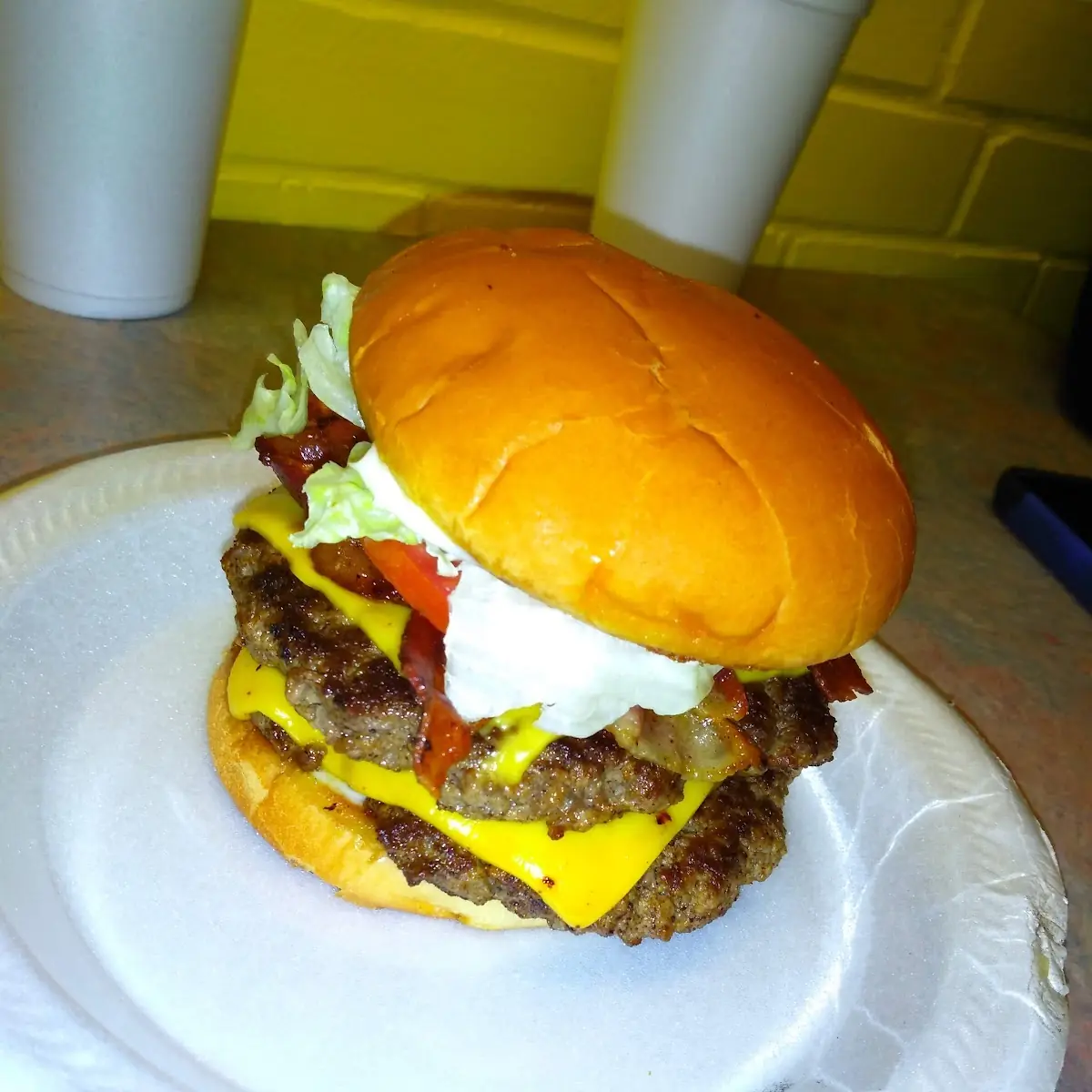 Double Cheeseburger
