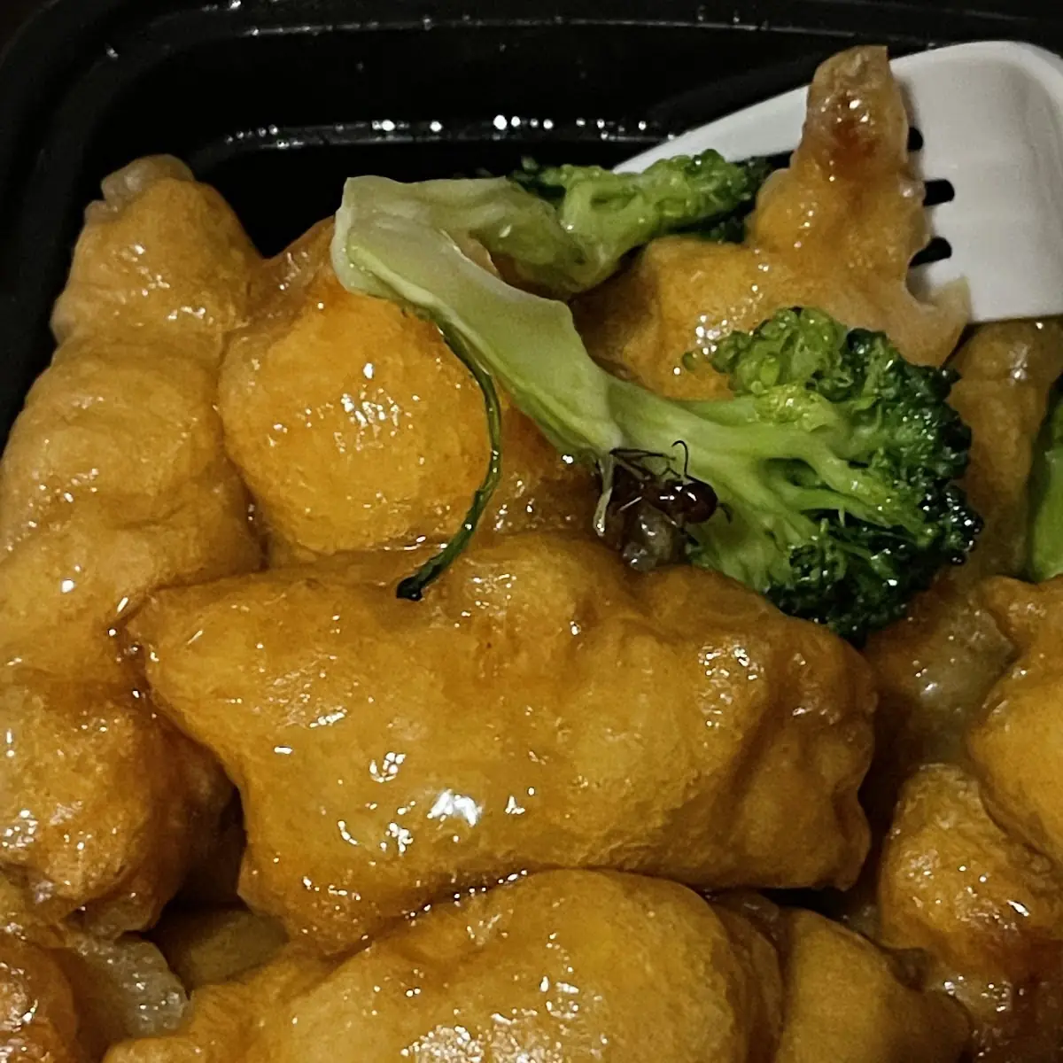 Orange Chicken
