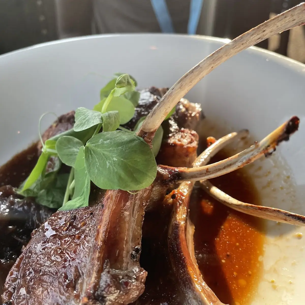 Lamb Chops, Prime Steakhouse Niagara Falls