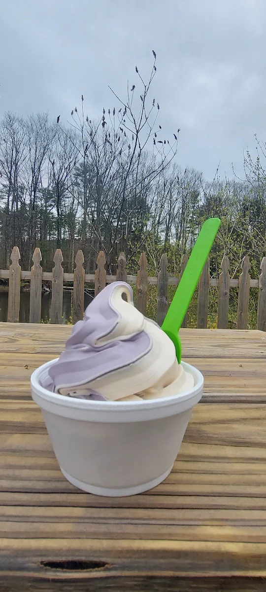 Frozen Yogurt