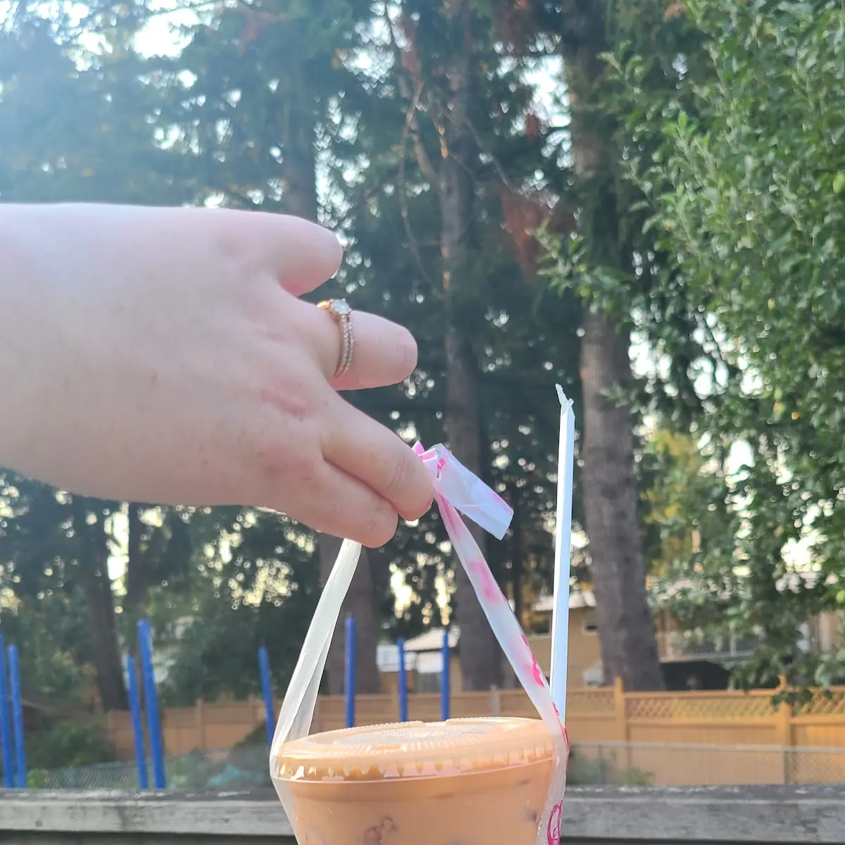 Thai Tea