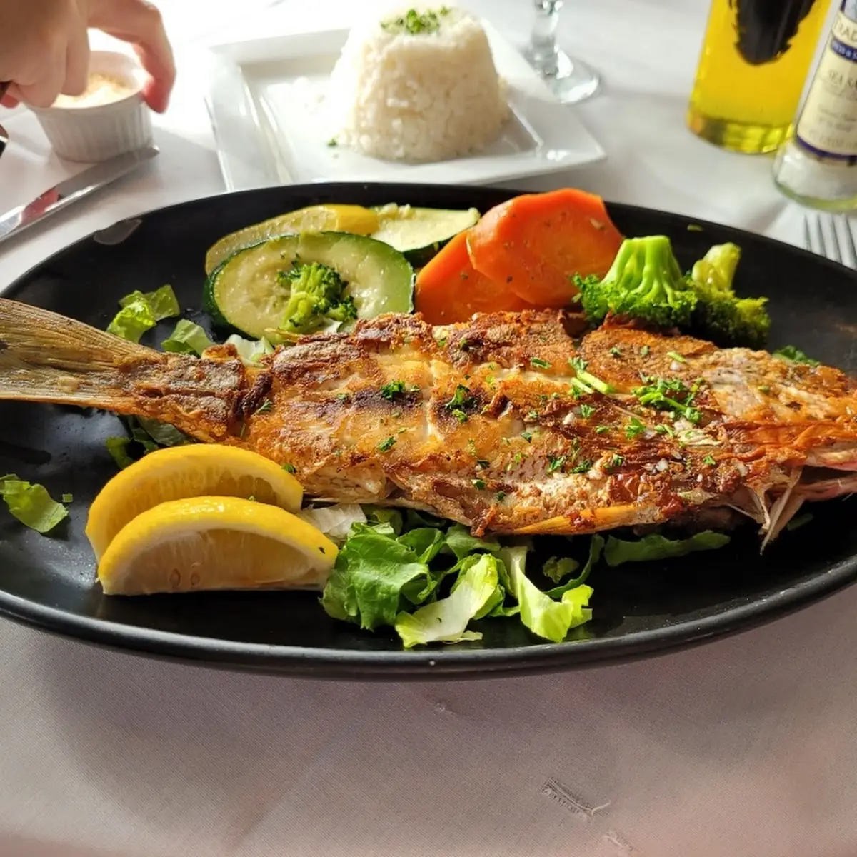 Red Snapper Catch of the Day