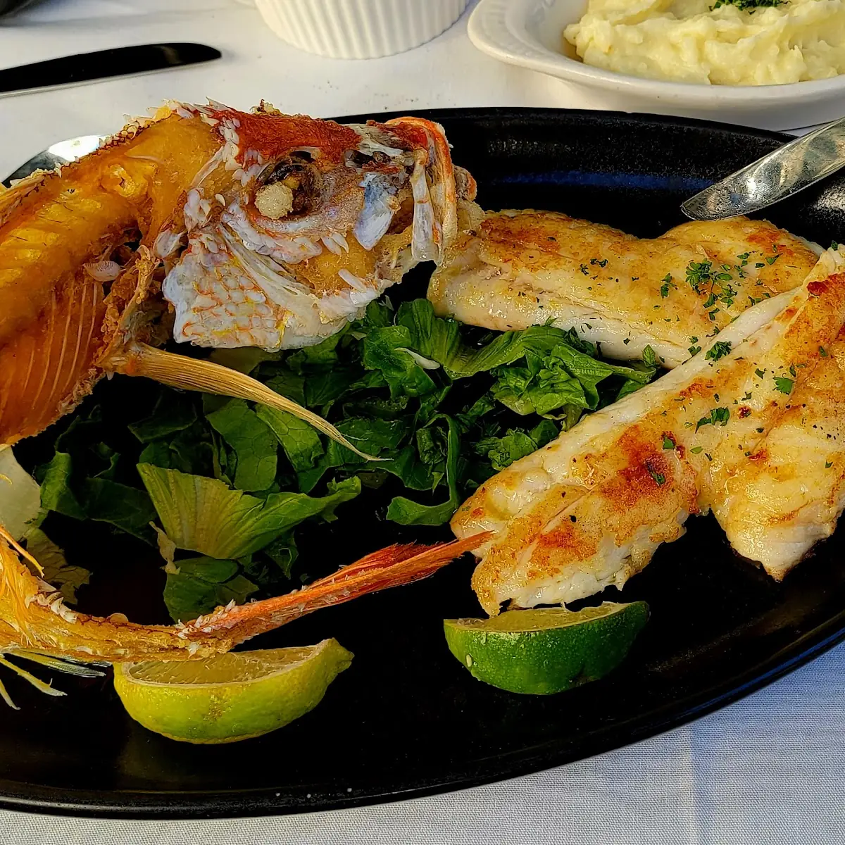 Snapper Fish