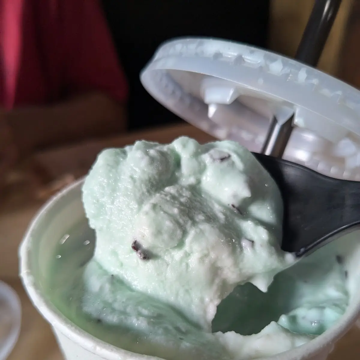 Mint Chocolate Chip