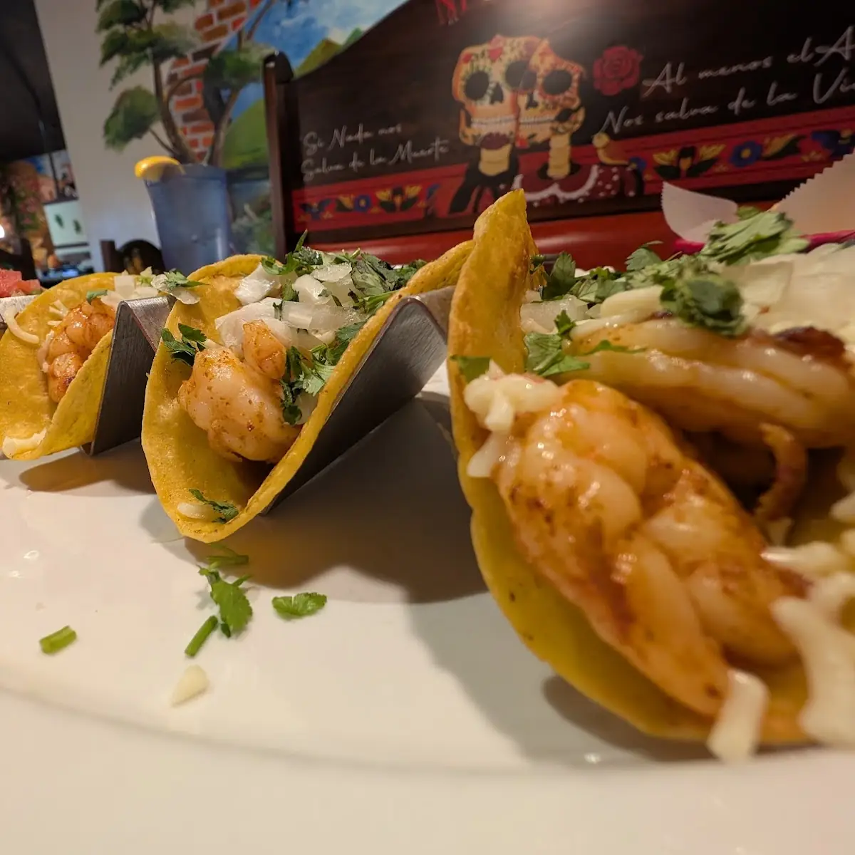Shrimp Tacos