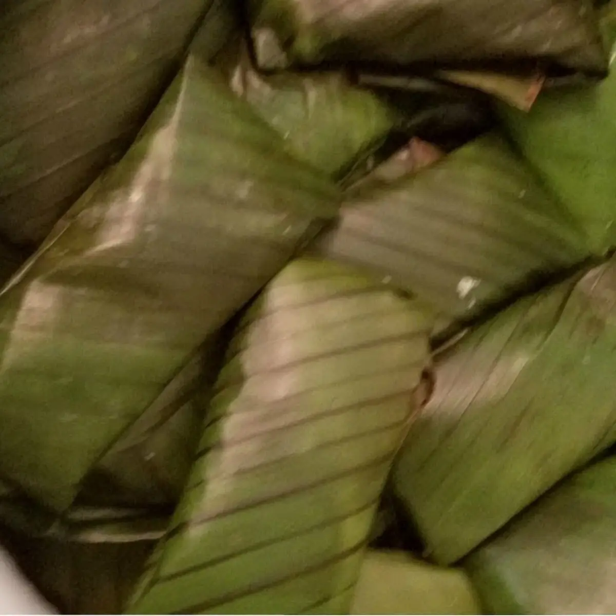 Tamales Hondureños