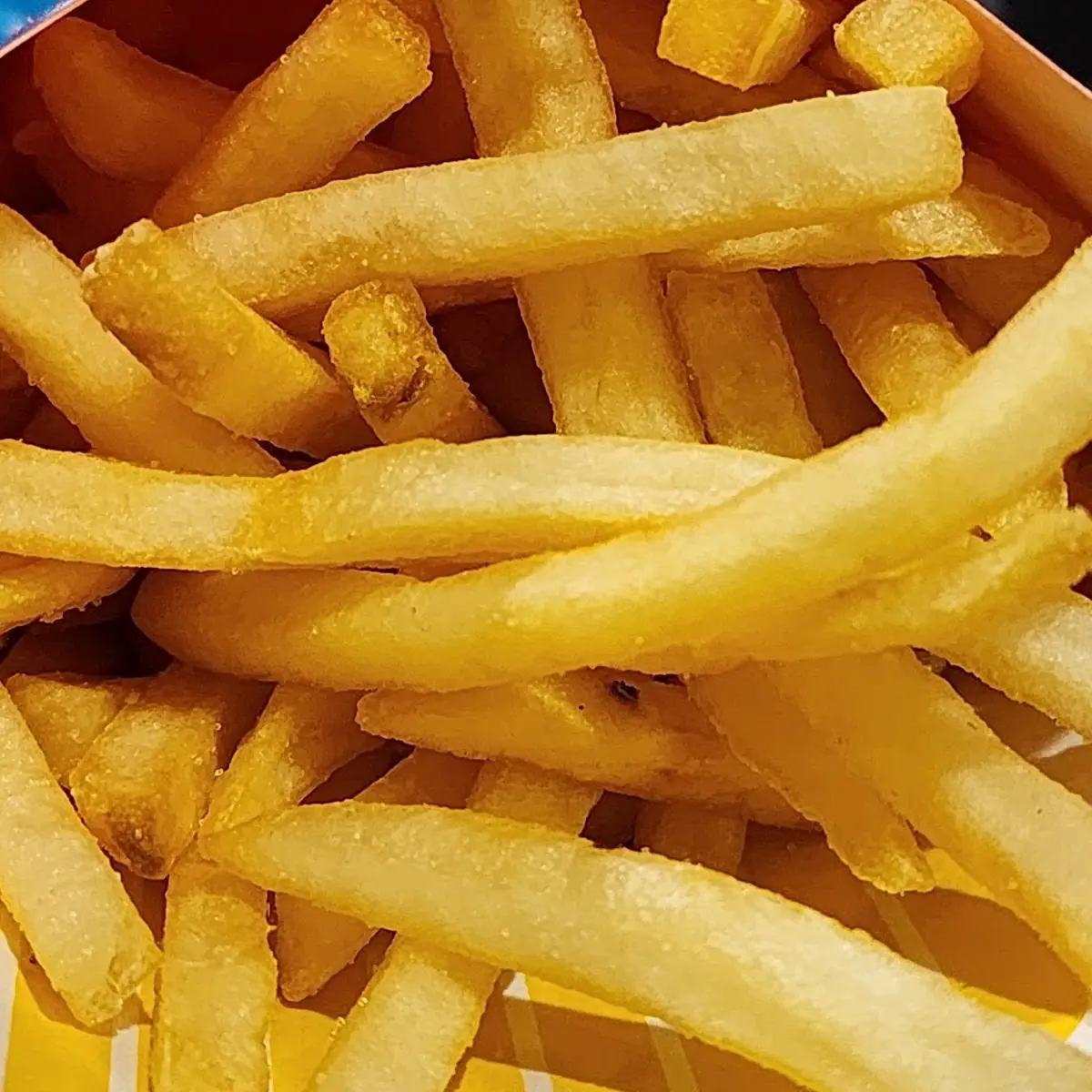World Famous Fries