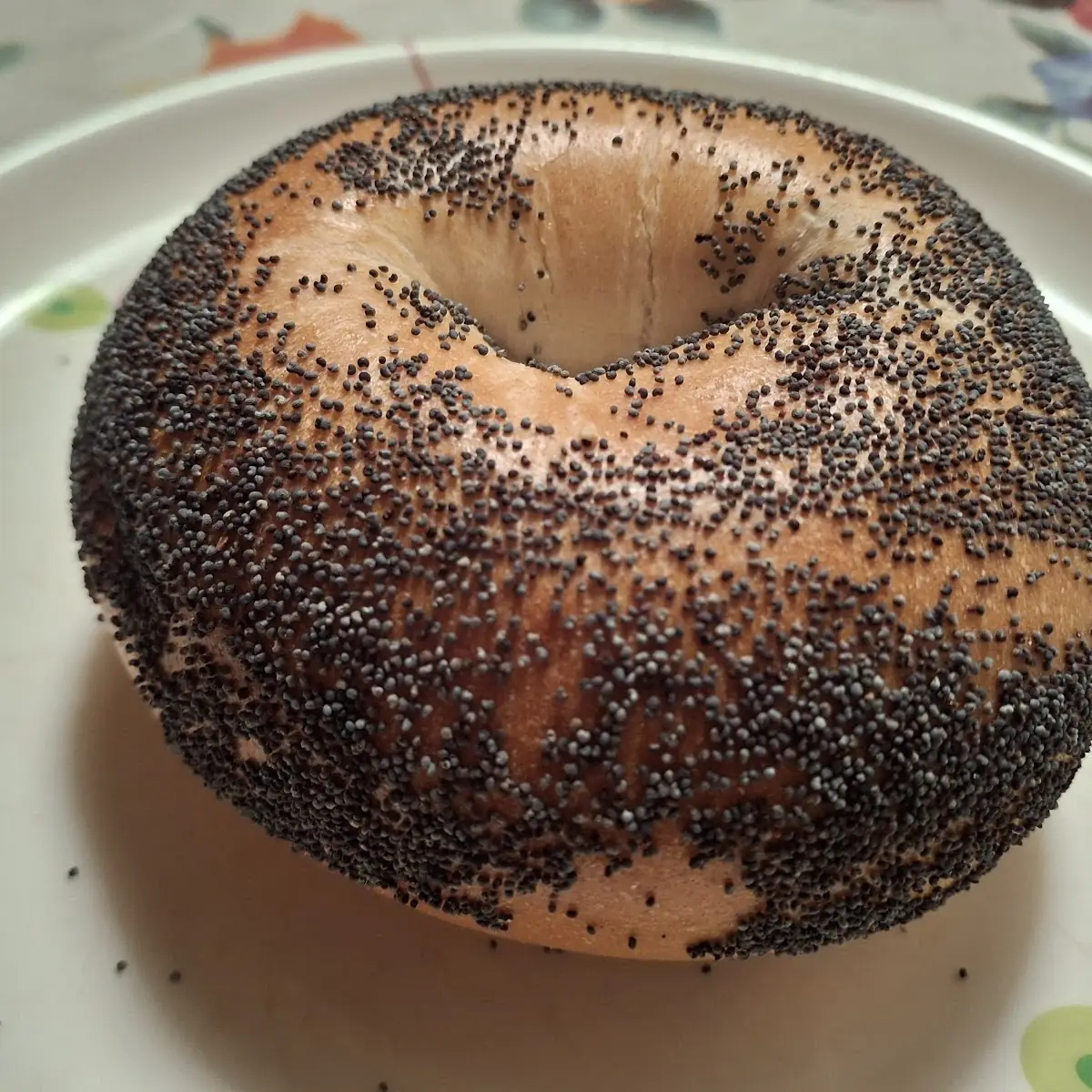 Poppy Seed Bagel