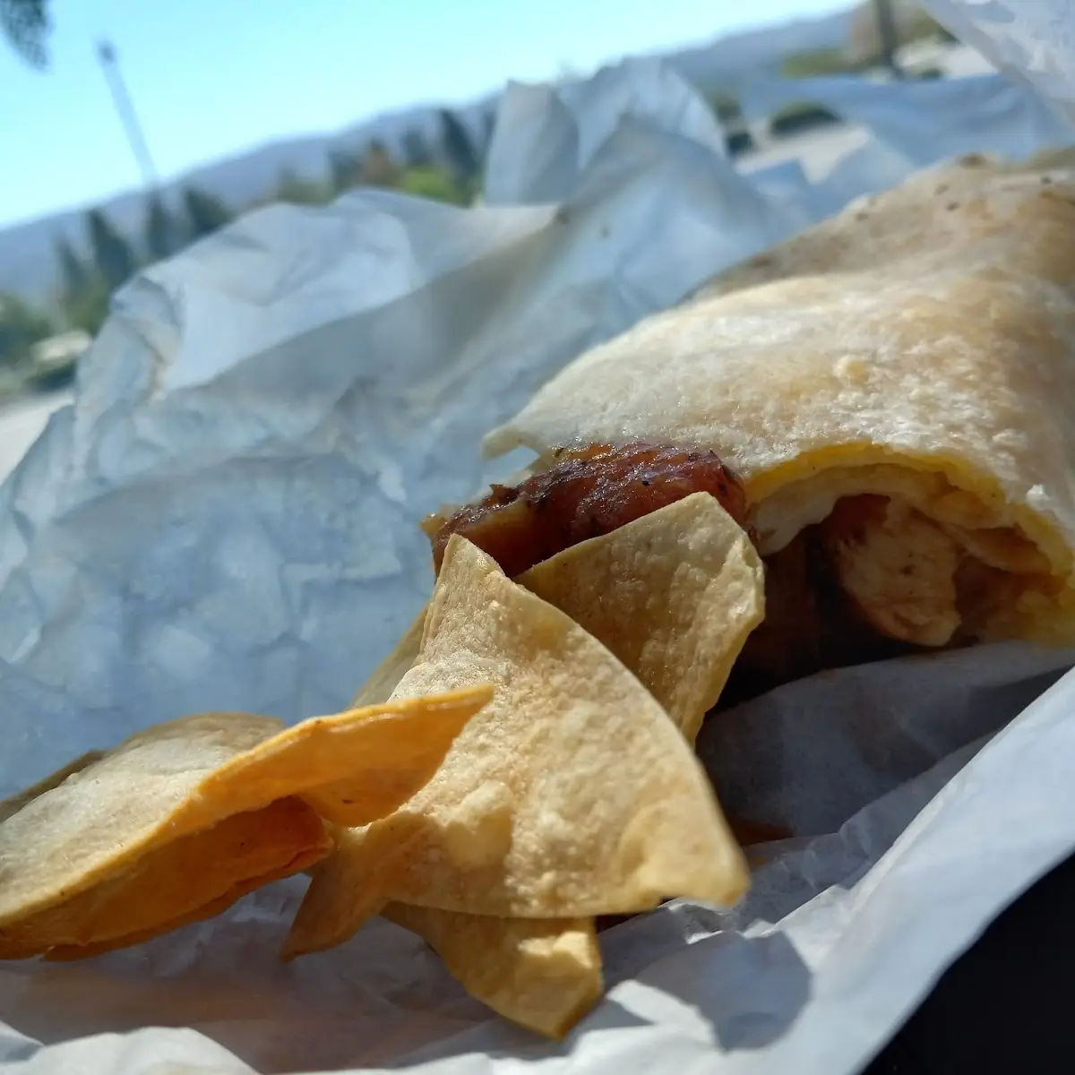 Asada Burrito Deluxe