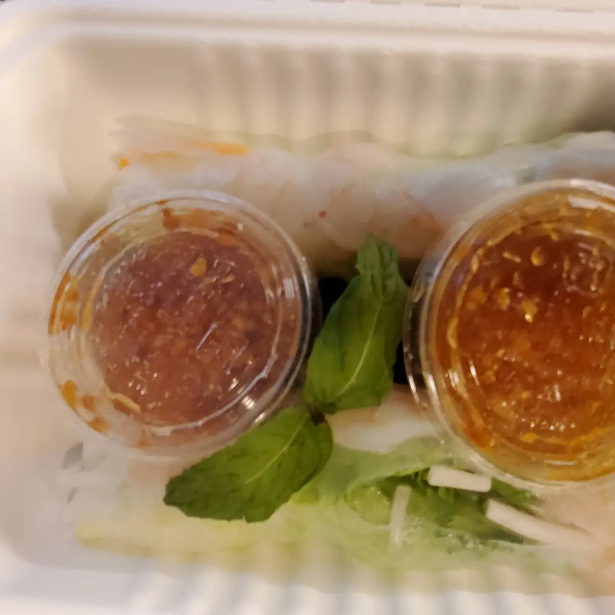 Pork Spring Rolls