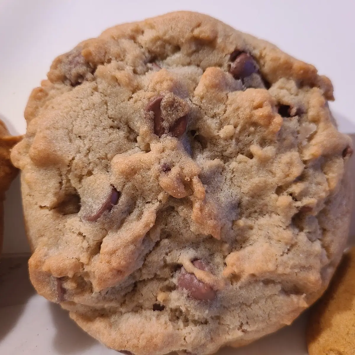 Milk Chocolate Chip Cookie