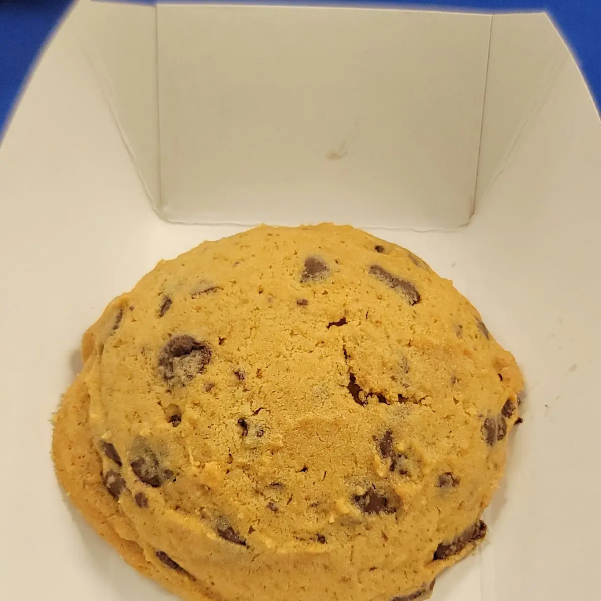 Chocolate Chip Cookie