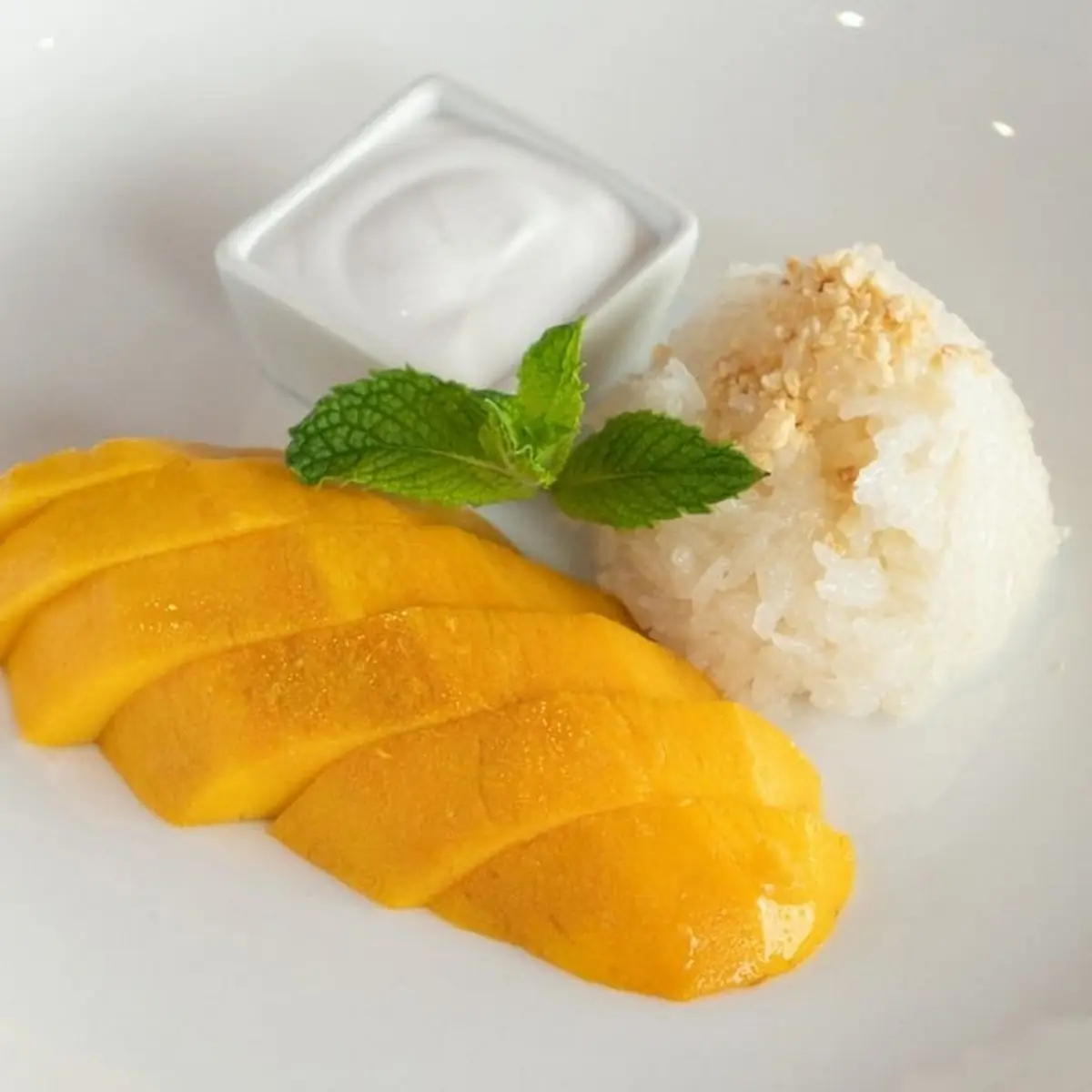 Mango Sticky Rice