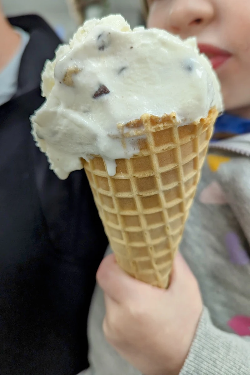 Cookie Dough Ice Cream in a Medium Waffle Cone