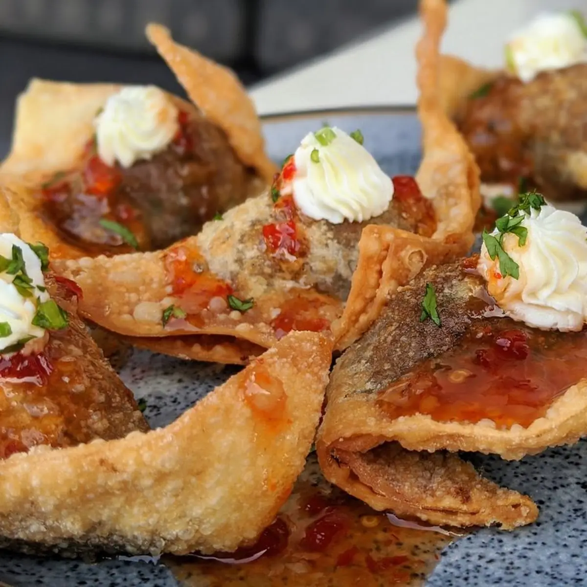 Pulled Beef Short Rib Wonton