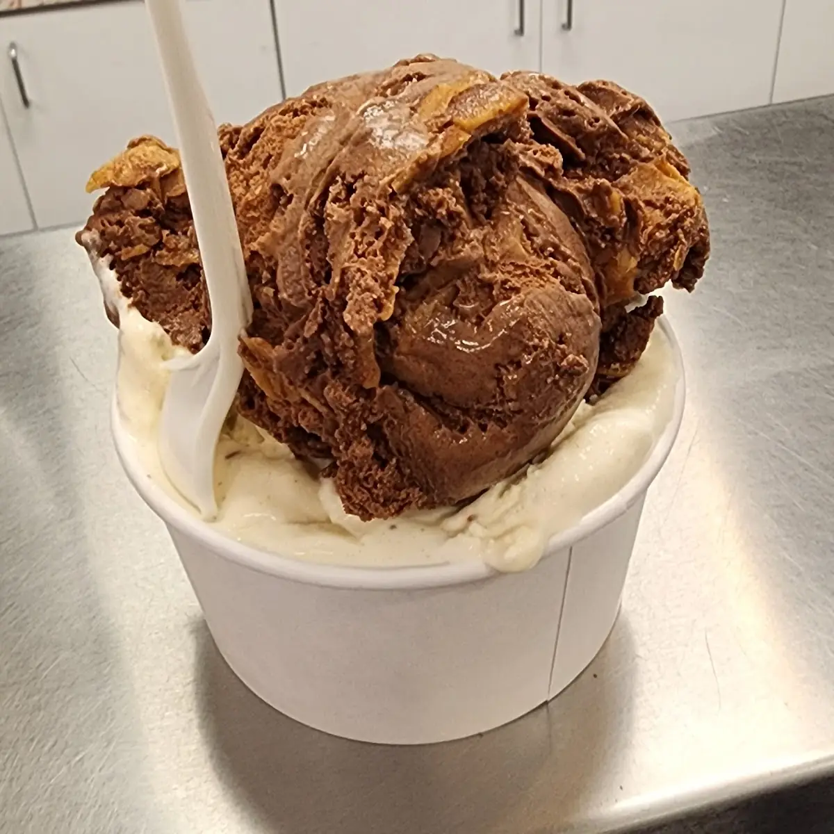 Chocolate Ice Cream