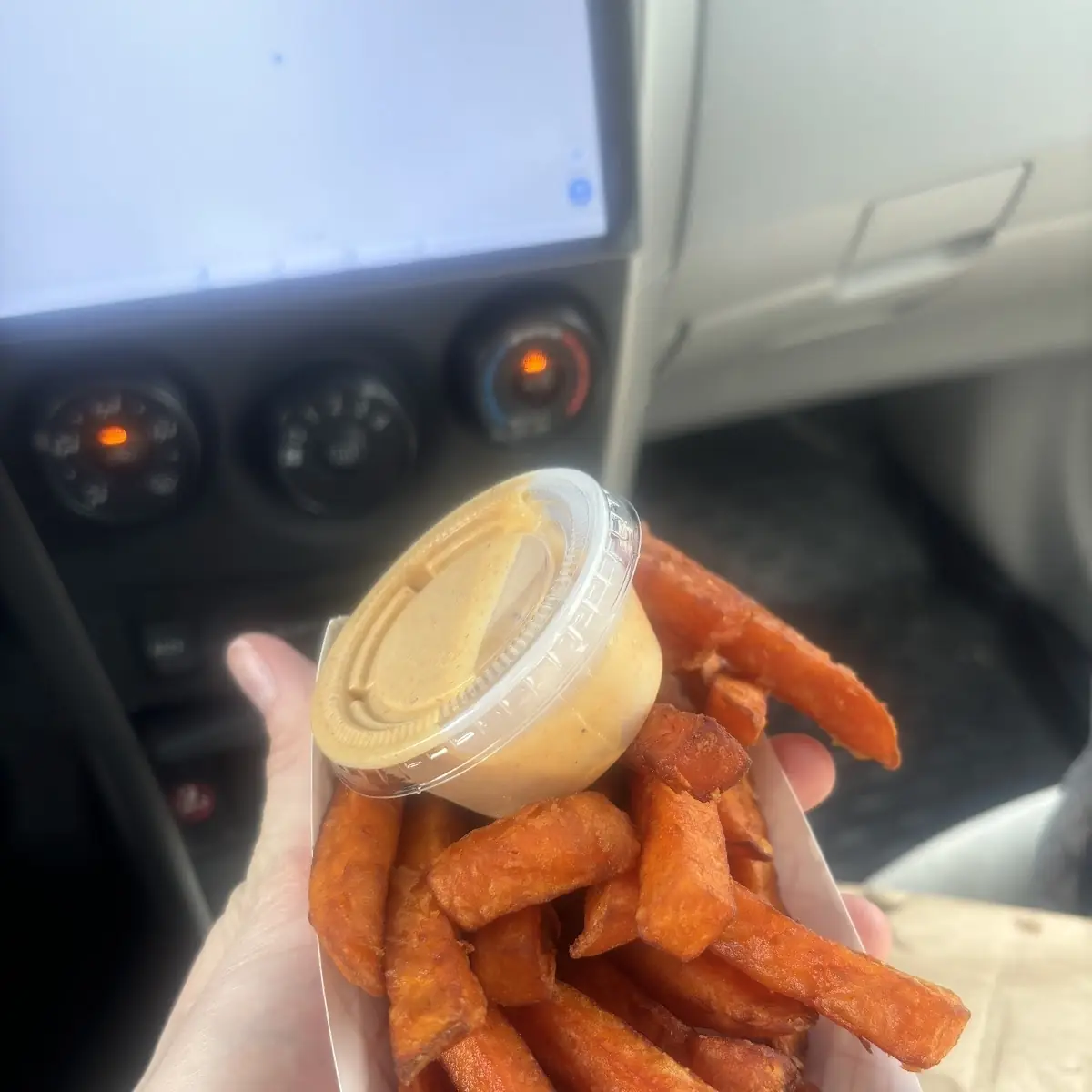 Sweet Potato Fries