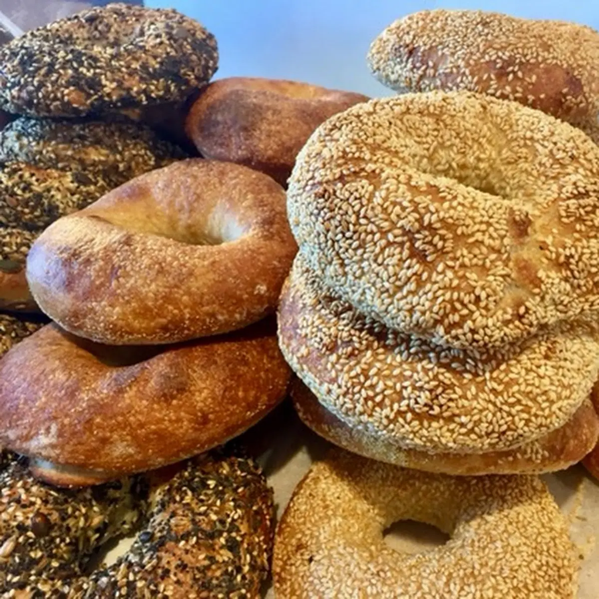 Assorted Bagels Price by Piece