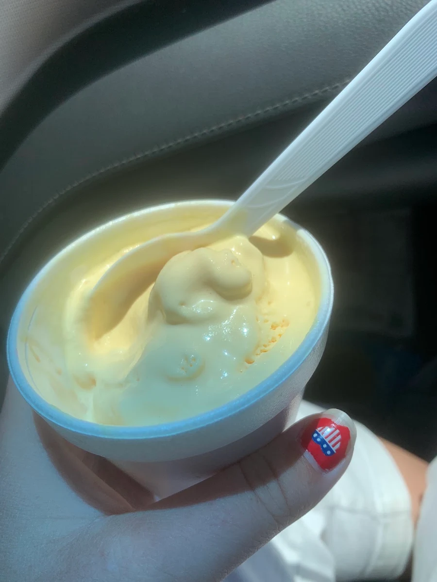 Vanilla Ice Cream in a Cup
