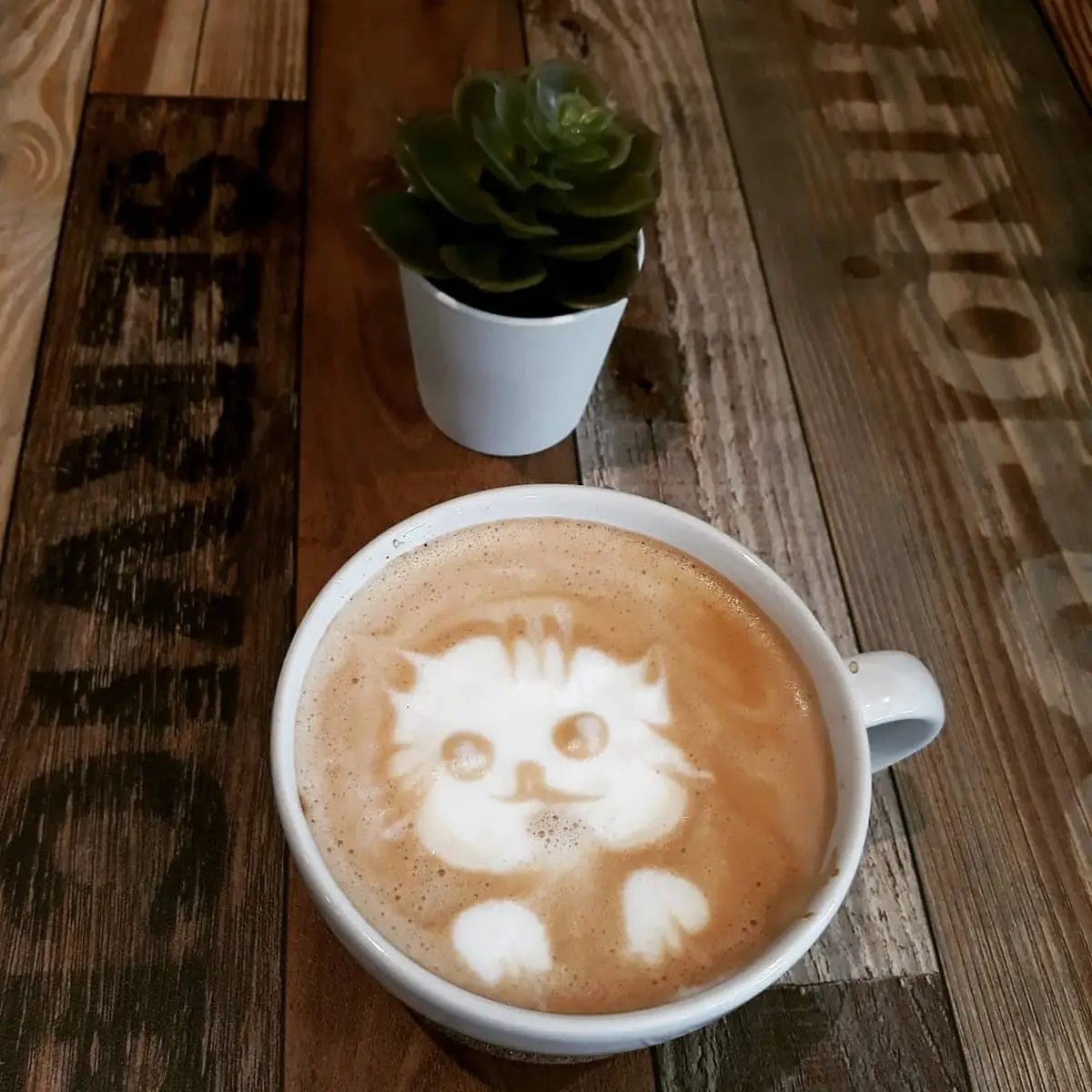Cappuccino