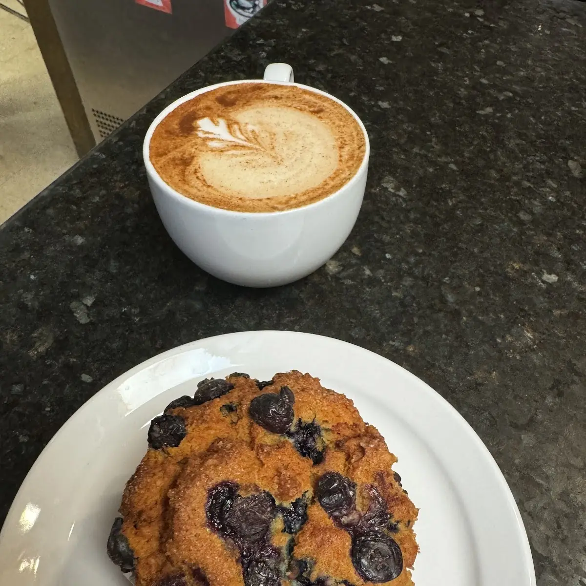 Blueberry Muffin