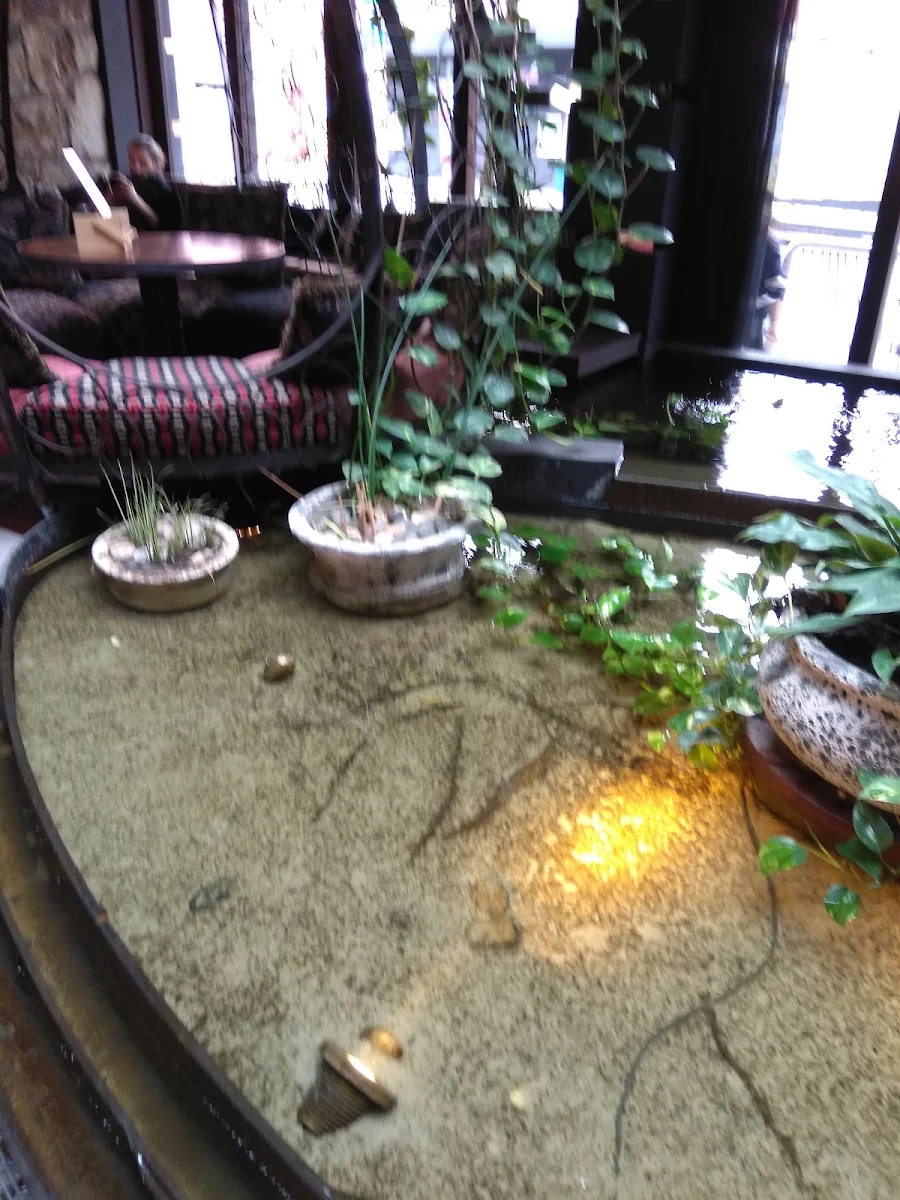 Absolutely, Cloudland
