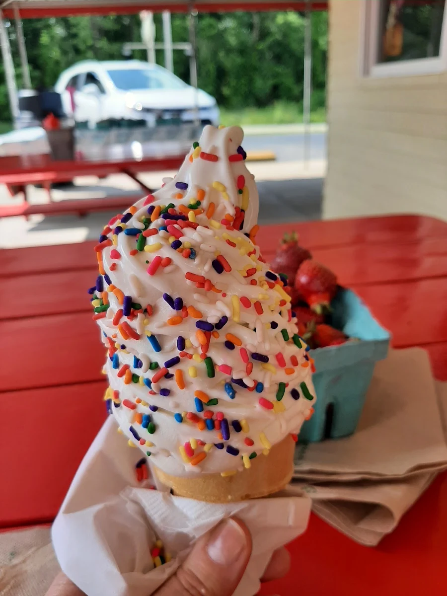 Small Vanilla Cone with Sprinkles