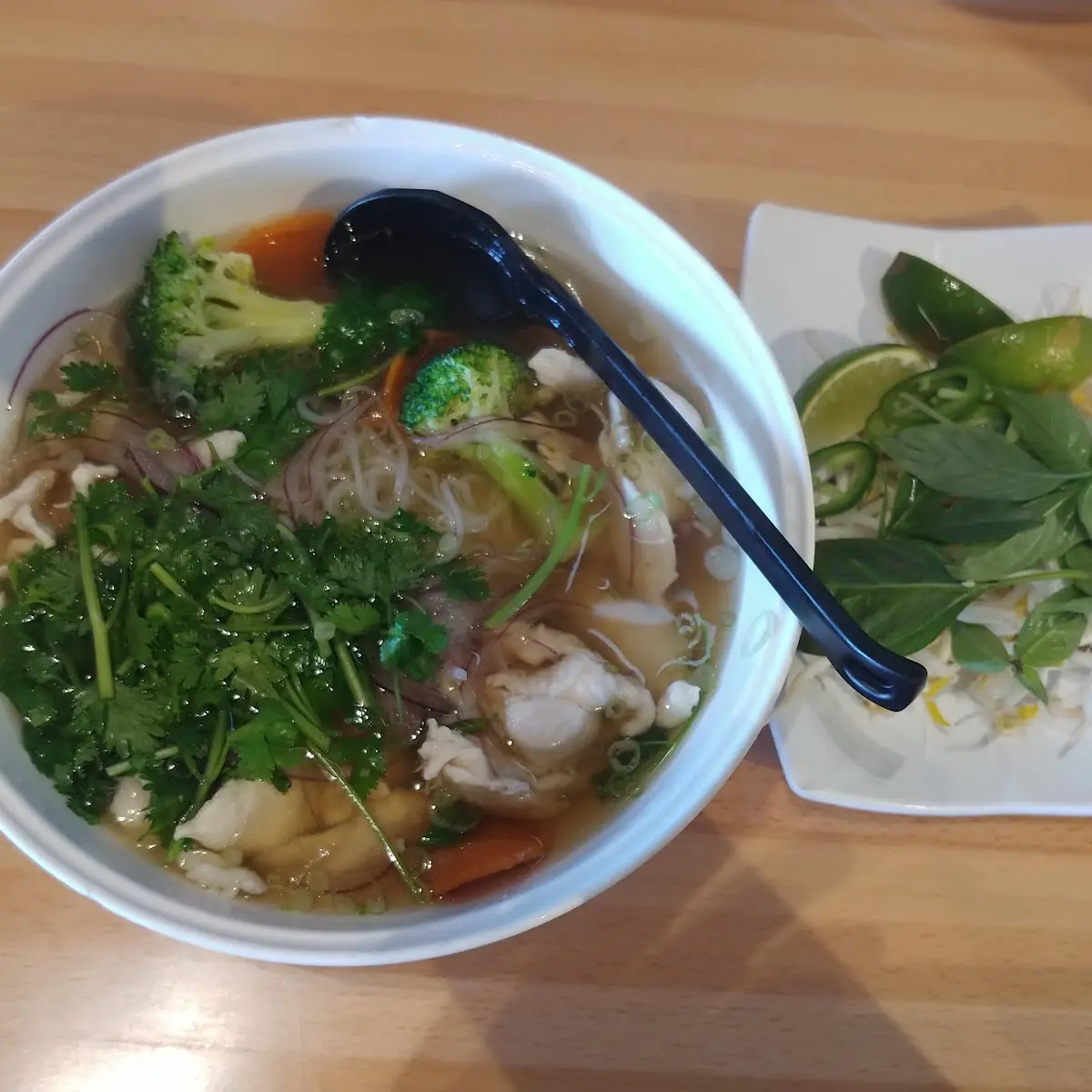 Chicken Noodle Soup