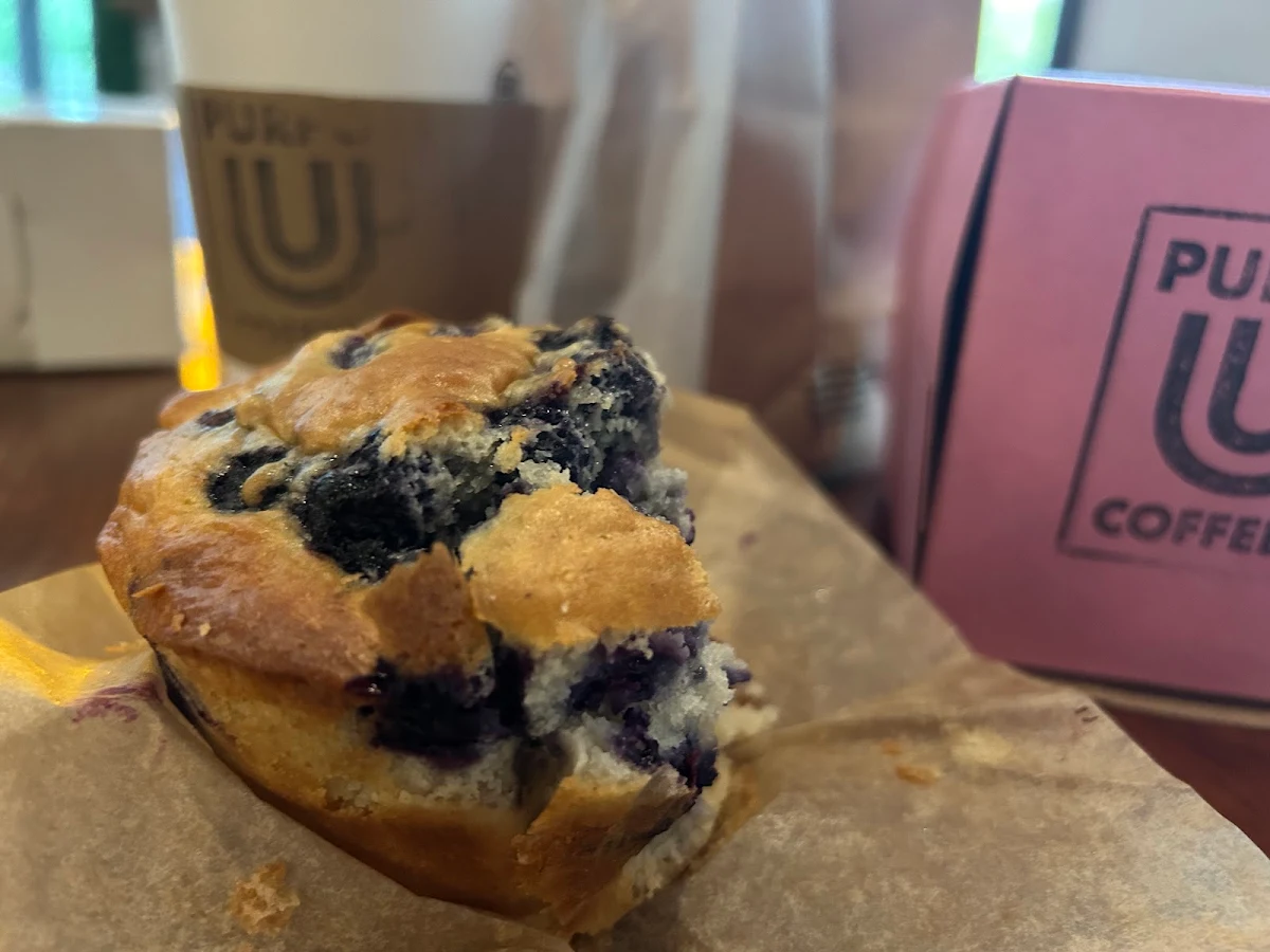 Blueberry Muffin