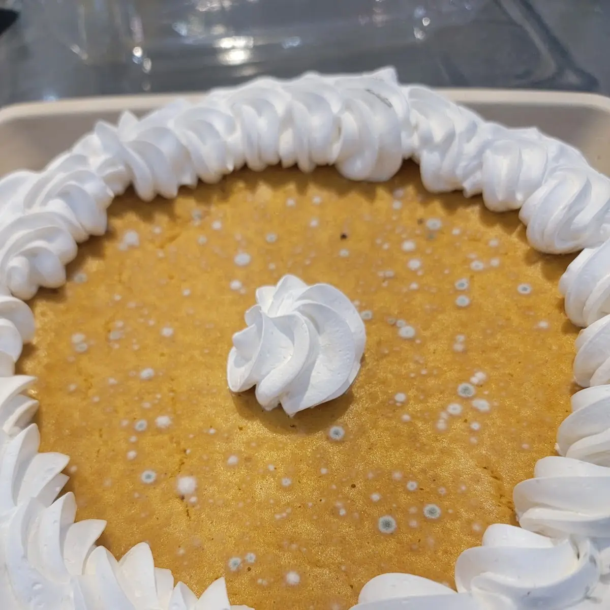 Pumpkin Pie