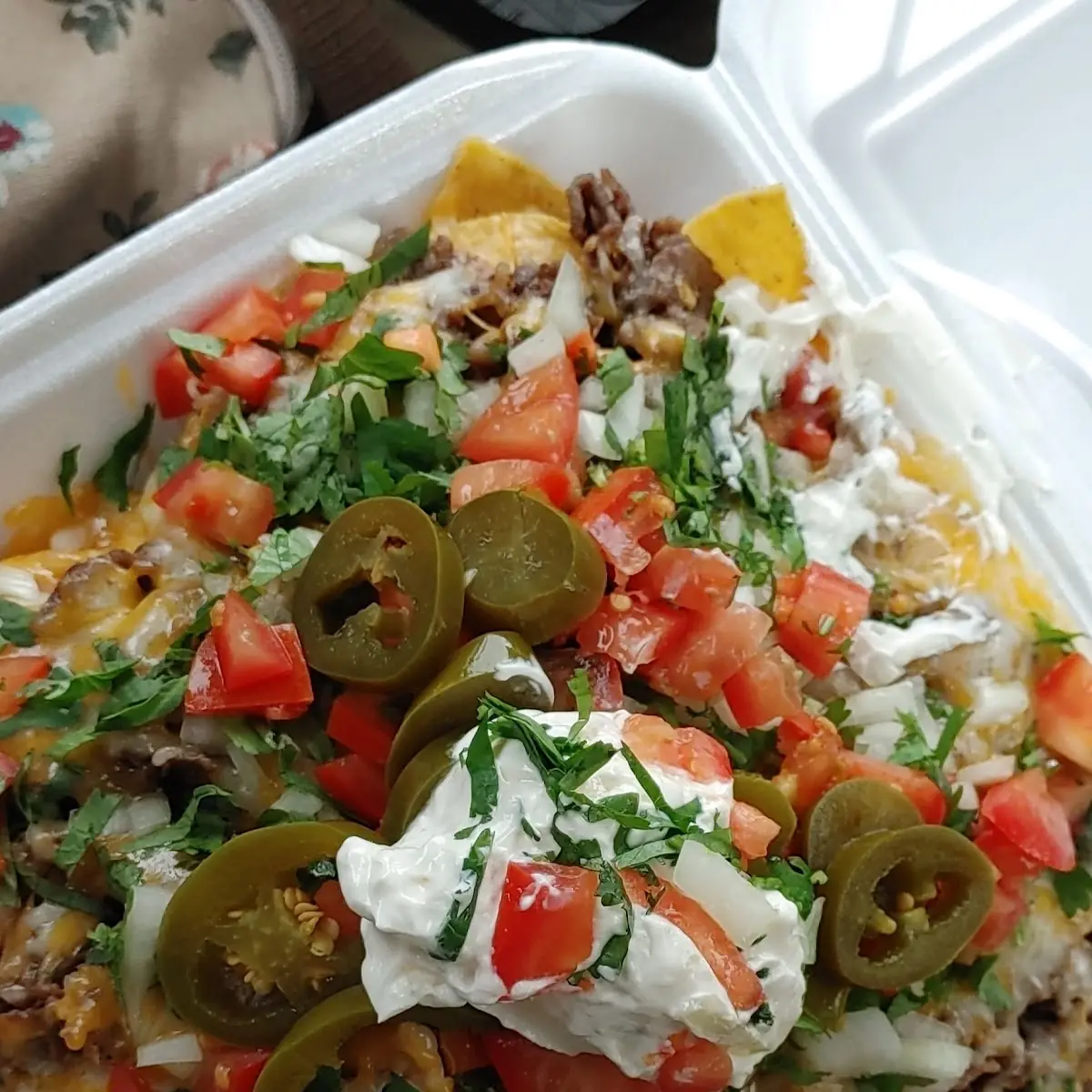 Carne Asada Nachos
