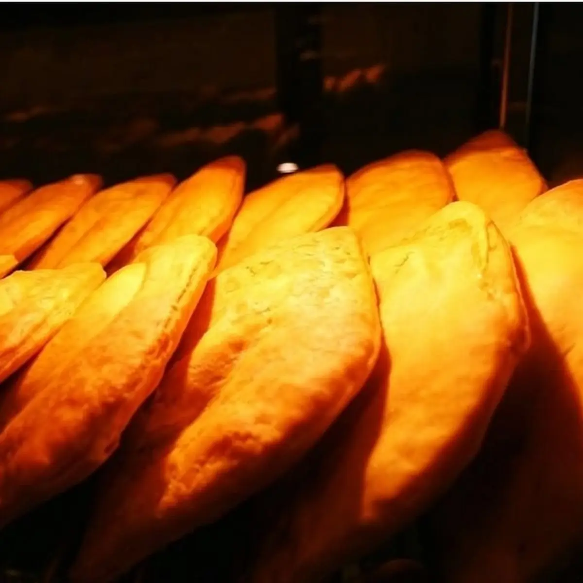 Jamaican Beef Patty