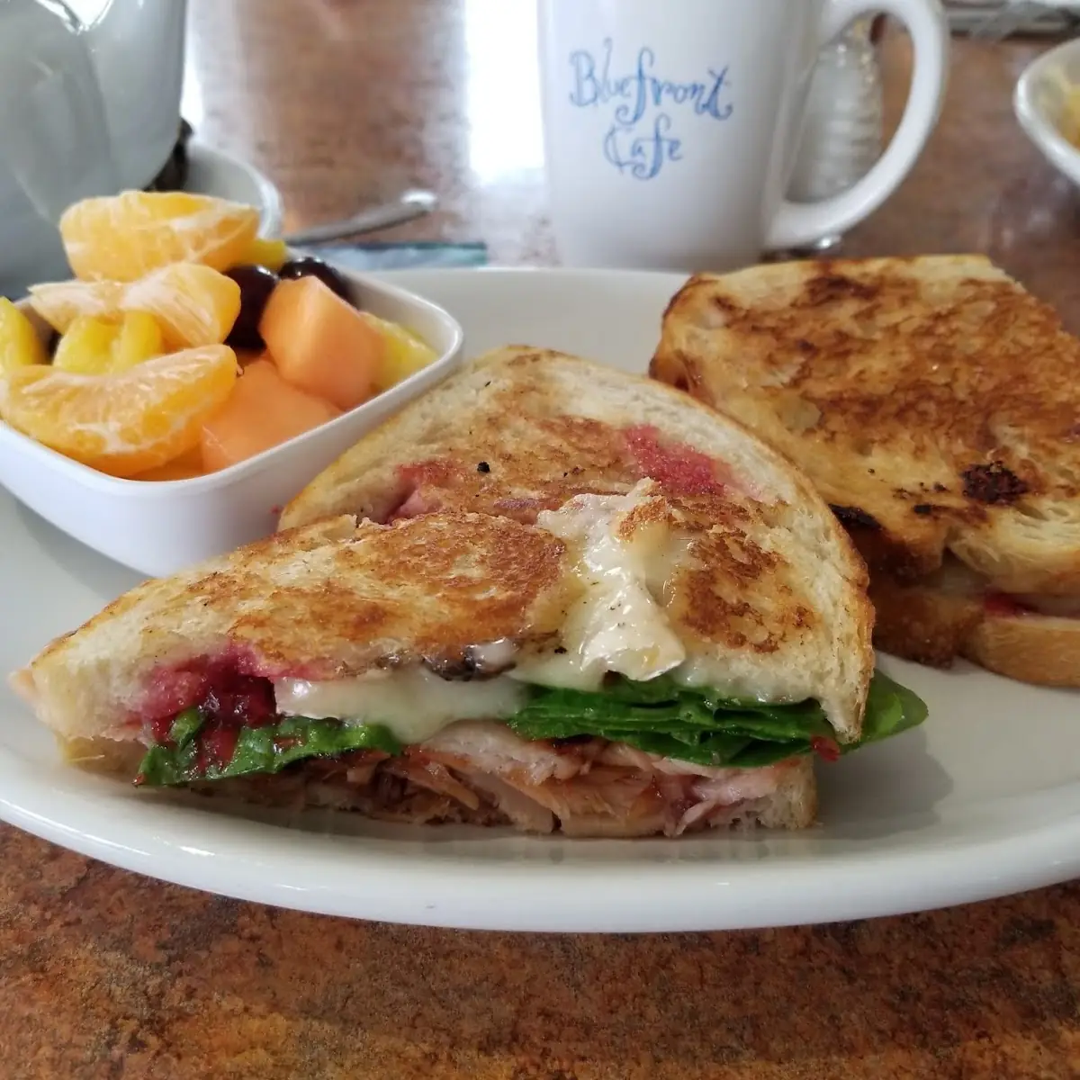 Grilled Smoked Turkey & Brie