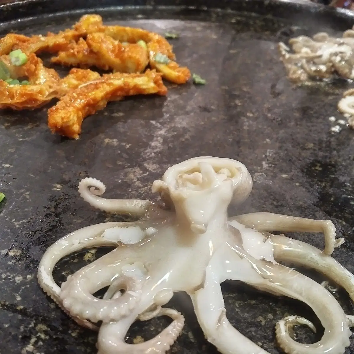 Baby Octopus