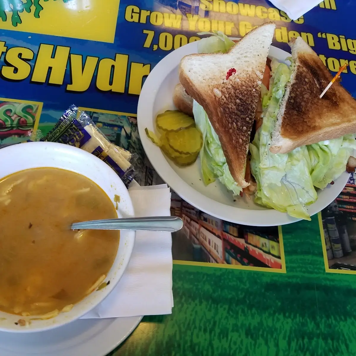 Chicken Soup