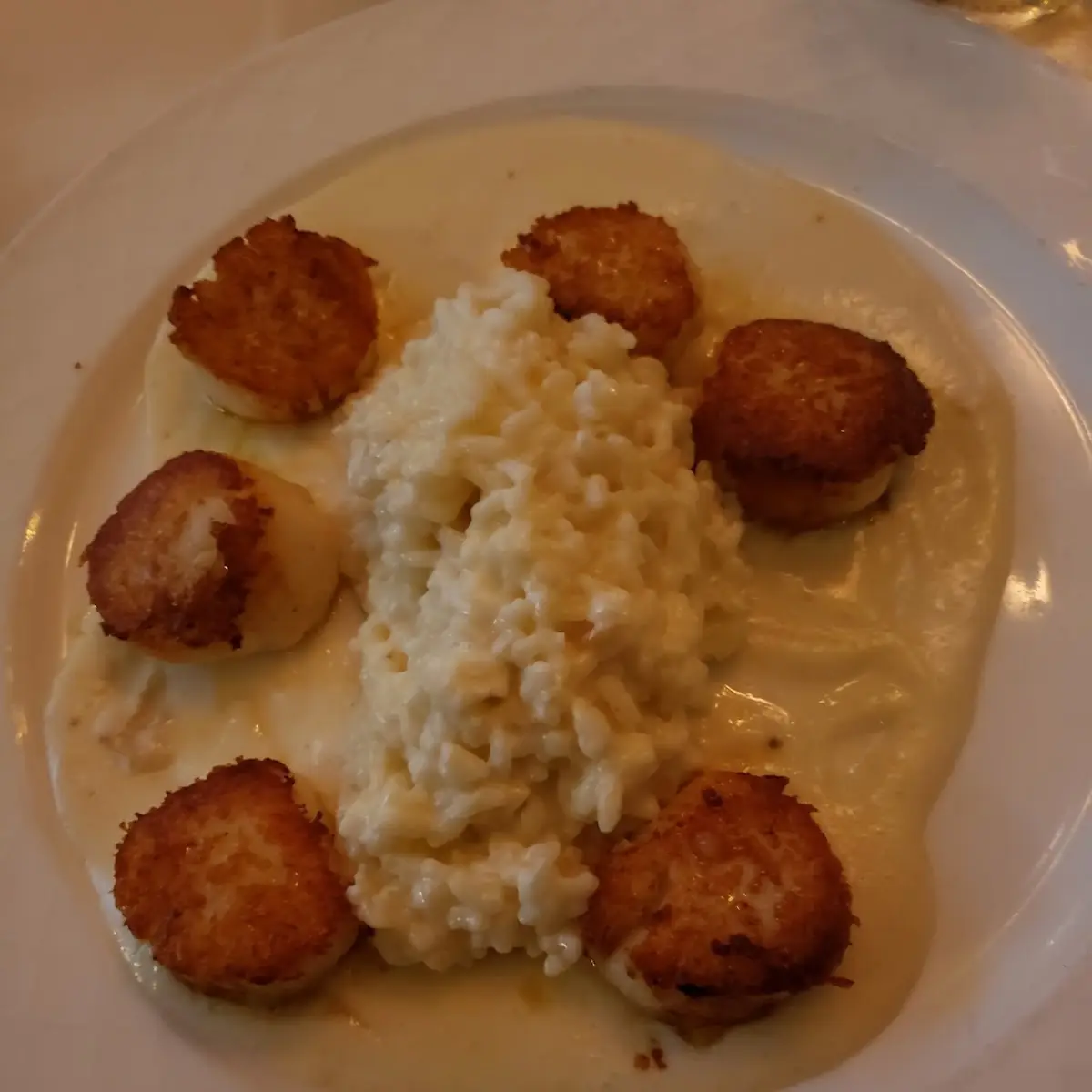 Sea Scallops App
