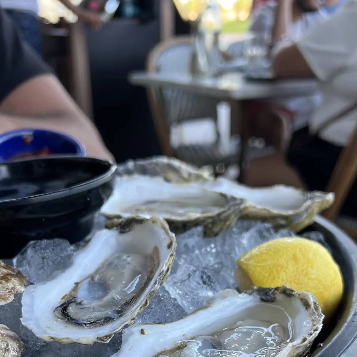 Raw Oysters on Ice Platter