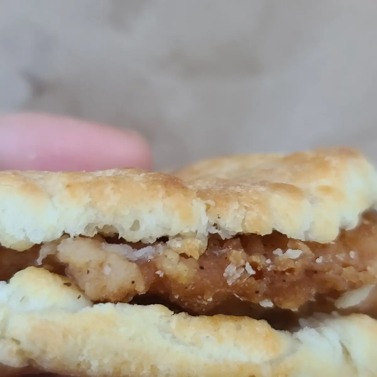 Chicken Biscuit