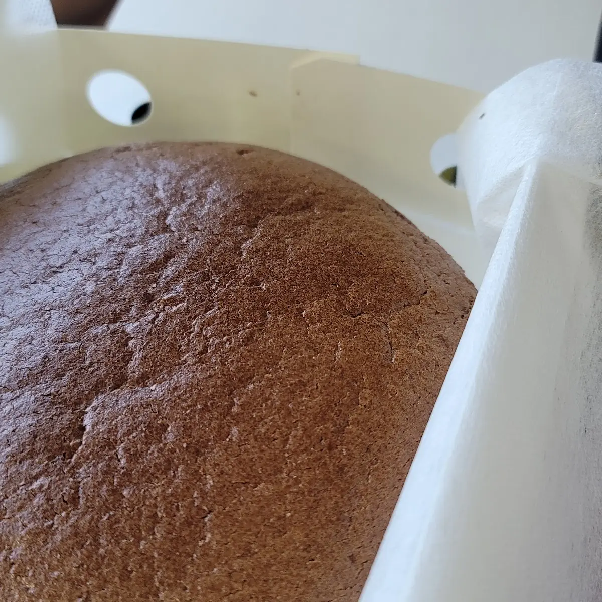 Chocolate Japan Cheese Cake 12