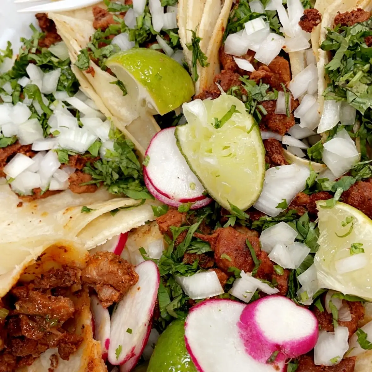 Beef Taco with Onions and Cilantro