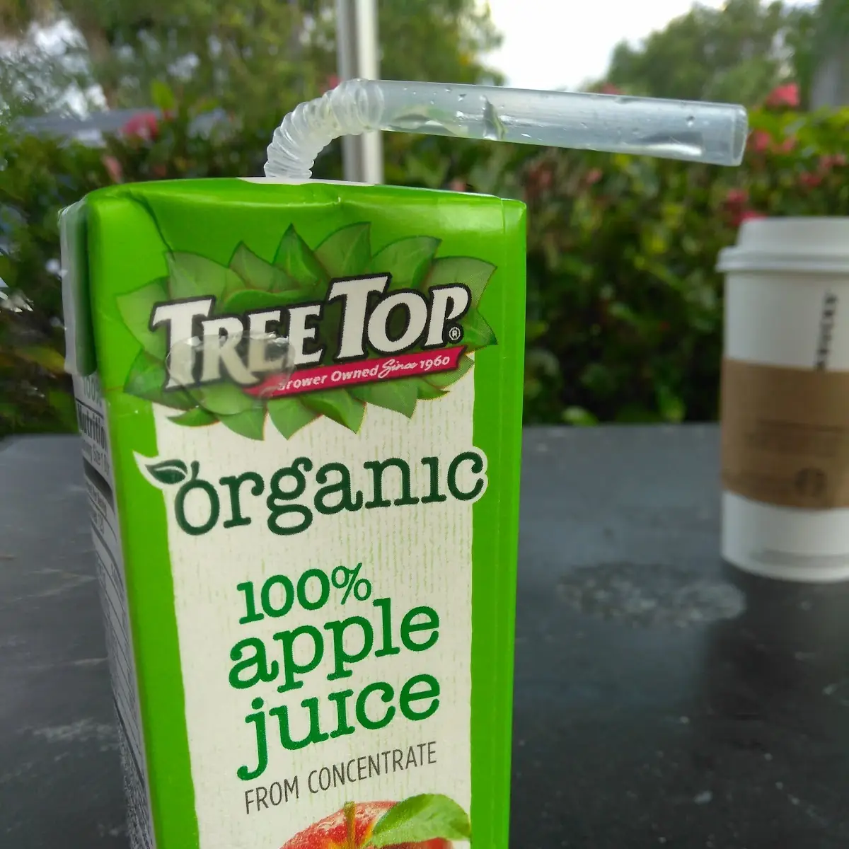 Tree Top Organic Apple Juice - 6 75 FL Oz