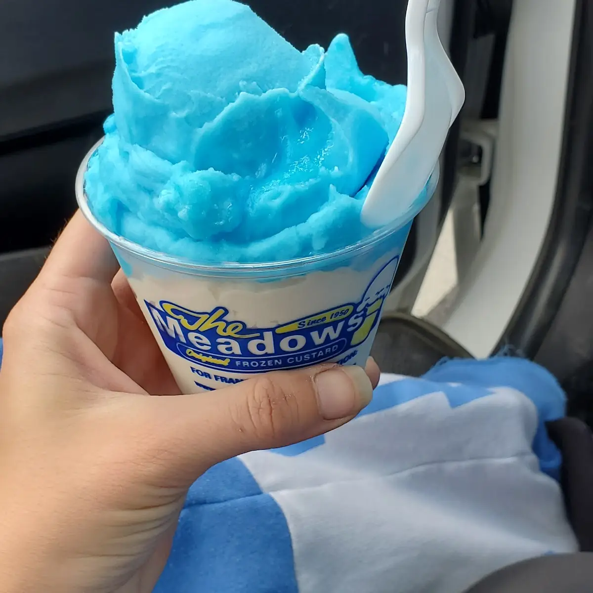 Blue Raspberry Gelati