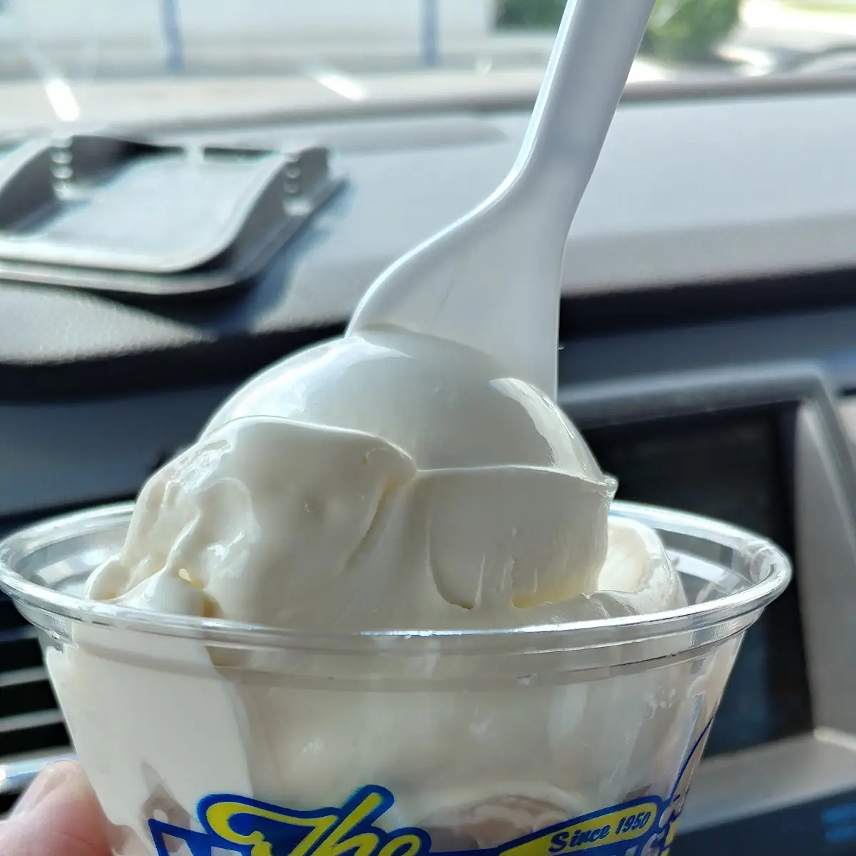 Vanilla Ice Cream