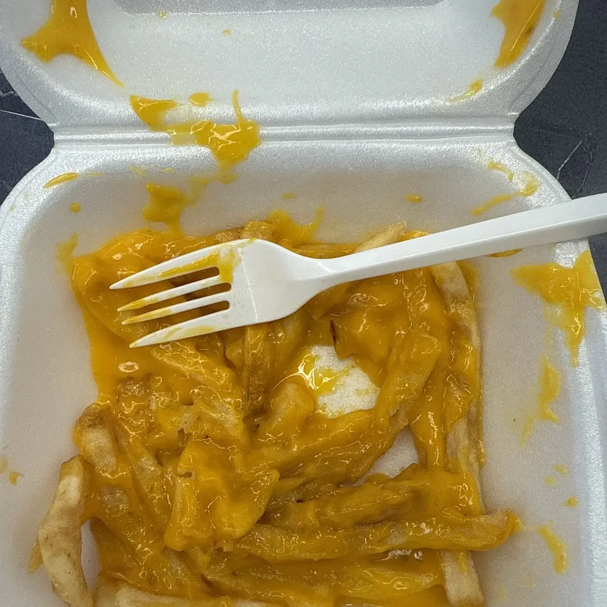 Cheese Fries