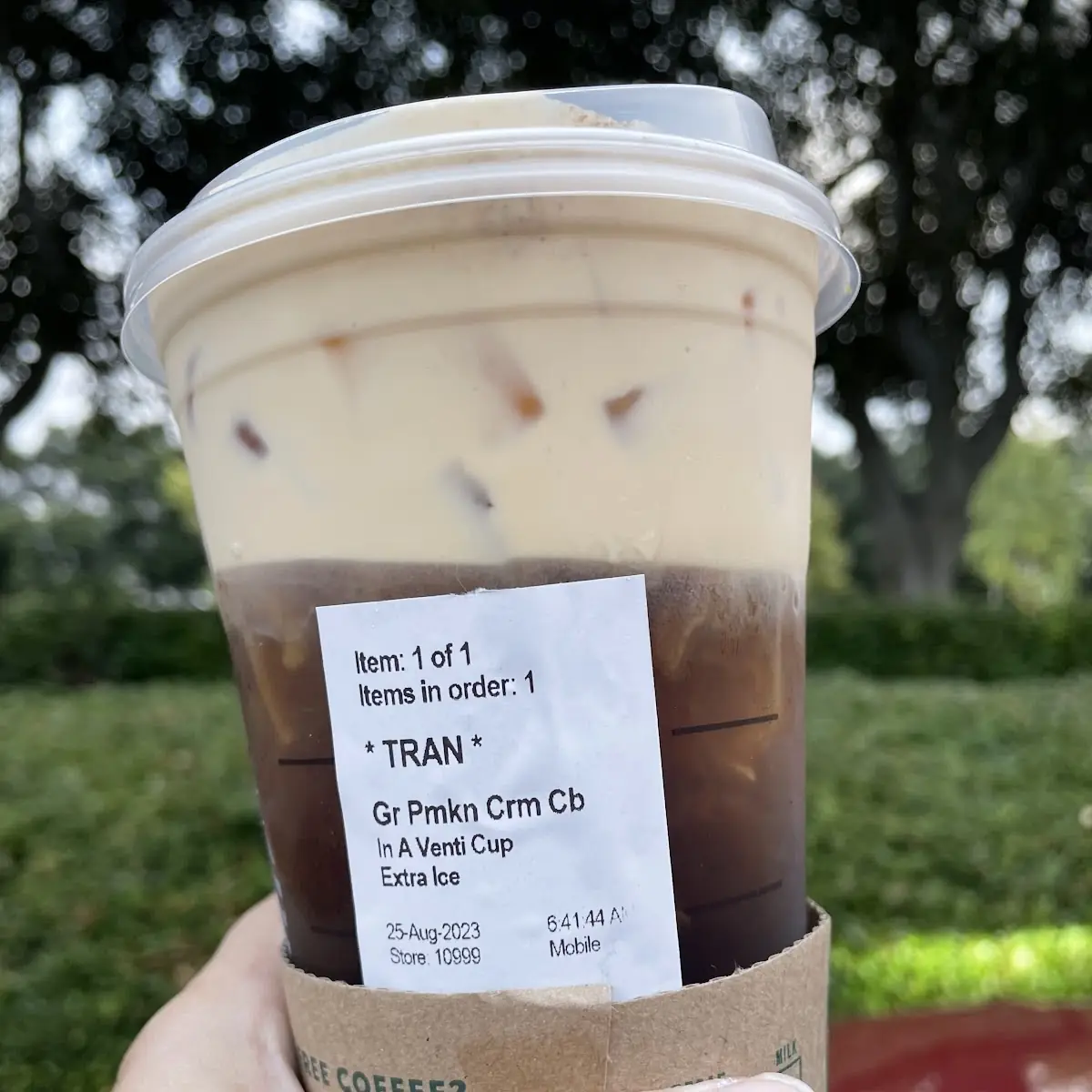 Pumpkin Cream Cold Brew