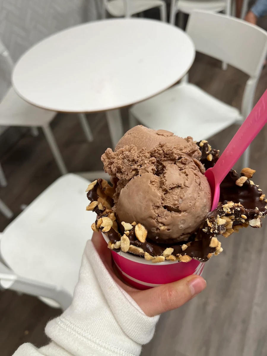Chocolate Ice Cream